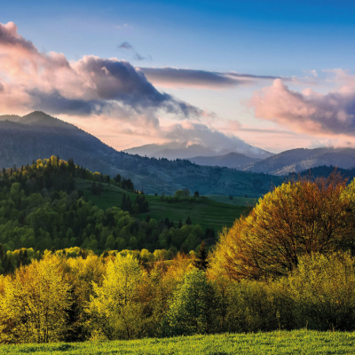 WIR DENKEN AN DIE ZUKÜNFTIGEN GENERATIONEN