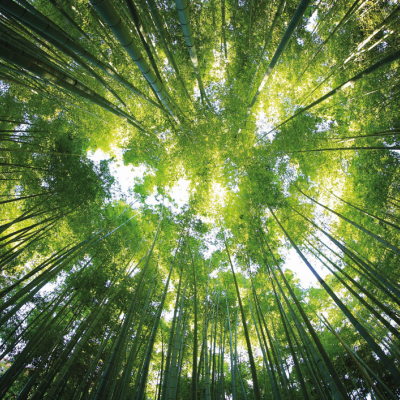 WIR DENKEN AN DIE ZUKÜNFTIGEN GENERATIONEN